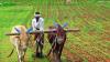 NIPHM, SERP join hands to promote natural farming in Telangana