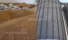 Tunisia: 3.4 Million Quintals of Cereals Collected as of June 16, 2026