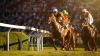 BetMakers agrees deal to distribute ATG’s Swedish and Danish racing content