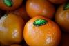 Israel’s Settlement Goods Are Mislabelled — and Reaching Your Shelves