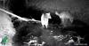 Rare footage reveals how wolves hunt beavers