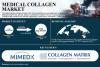 Medical Collagen Market Size to Reach USD 624.98 Million by 2035 | SNS Insider
