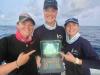 First Birth-Alert Tag deployed in a Caribbean reef shark
