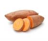 New Seed Bank and Sweet Potato Projects Aim to Strengthen Antigua and Barbuda’s Food Supply
