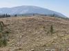 The latest ‘sustained yield’ scam will devastate Montana’s national forests