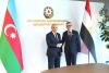 Azerbaijan, Egypt discuss establishing business platforms