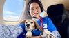 Florida to New York: Rescued beagles take to the skies on their way to forever homes