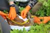Researchers mobilize for fawn arrivals