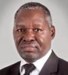 Celebrating the Unity of Tonse Pamodzi Alliance with more than 30 Opposition Political Parties and civil society; The Future Prospects- Mbita Chitala PhD
