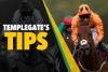 Horse racing tips: ‘She’s primed for this after running a career-best at 50-1’ – Templegate’s Friday NAP
