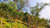 HiHi targets USD 93.6 million investment to transform Bhutan’s agrifood sector