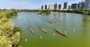 Xinjiang holds dragon boat race, blending traditions, ethnic cultures