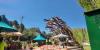 Nevada’s Camp Cartwheel celebrates 30 years giving joy, hope for kids battling cancer
