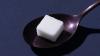 Sugar-Free Diets May Have a Hidden Side Effect, Study in Mice Suggests