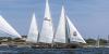 BTA Welcome Start Of Newport Bermuda Race