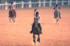 Emirates Global Endurance Village launches racing series