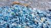 Thousands of exotic jellyfish wash up on beaches across Cork