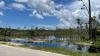 Is a private golf course coming to this Florida citrus grove?