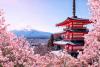 Where can I watch Japan vs Tunisia free live stream?