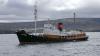 Iceland resumes whale hunting after two-year hiatus amid protest