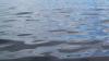 Juvenile dies after being pulled from France Park swimming lake in Cass County, IN
