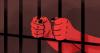 Mother Arrested and Detained for Alleged Murder of Twin Infants in Idaho