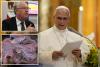 Top banker tried to sell Pope Leo pitch on rare earth mining to supply tech boom
