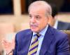 Peaceful Afghanistan essential for return of its nationals: PM