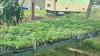 Agricultural export earnings climb to $187.2m