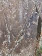 Ancient Turkic Runic Inscription Discovered in Kazakhstan