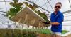 A facility hidden in Harvey is using catfish to revolutionize growing produce: 'Farming farmers'