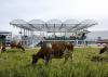 Feeding the Land: What We Eat Built the World We Inhabit
