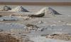 Tax police investigate suspected price manipulation in Tunisia’s salt sector