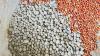 Farmers advised to adopt seed pelletisation in red gram cultivation