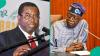 Tinubu's allegedly missing school certificates in INEC form spark fresh 2027 election row