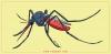 Mosquitoes Used as 'Weapon' to Combat Dengue in Belem, Brazil