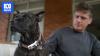 This dog's cancer treatment 'excited' the US health boss but humans face hurdles