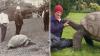 World's oldest land animal is 194, has met royalty, and just became a Guinness Icon