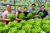 Agriculture can still be Sabah’s economic engine