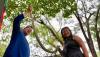 More than 125 turn out in Guam to hunt the invasive snake blamed for bird losses and blackouts