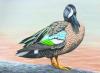 Larson’s artwork ranks among nation’s best