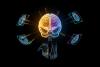 Study: Acupuncture Linked to Brain Structure Changes in Stroke Patients
