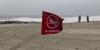 Elevated bacteria levels force beach closures and swimming advisories across the US