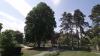 Nature and Forest Agency campaign: Public invited to identify Luxembourg's remarkable trees