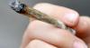 Drugs offender involved in cannabis and ketamine supply faces possible jail term