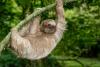 Purposeful travel: Reset and restore in Costa Rica through eco-tourism, wellbeing and wild nature