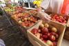 Community Supported Agriculture is big in Philly – here’s what it is and how you can get involved