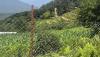 Chain-link fencing gives hope to farmers