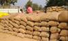 Subarnapur farmers threaten protest over uncollected paddy