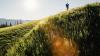 Montana ranch added a golf course, and now neighbors fear it is taking control of shared water